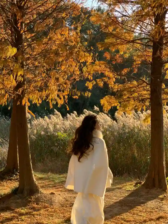 一卡易下载数据分析